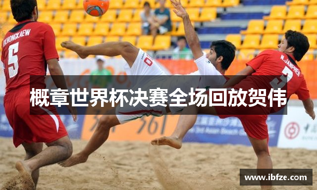 概章世界杯决赛全场回放贺伟